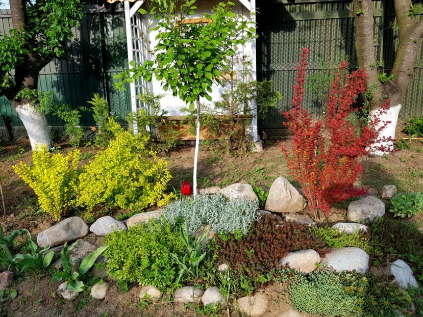  - 2019 Idilic garden