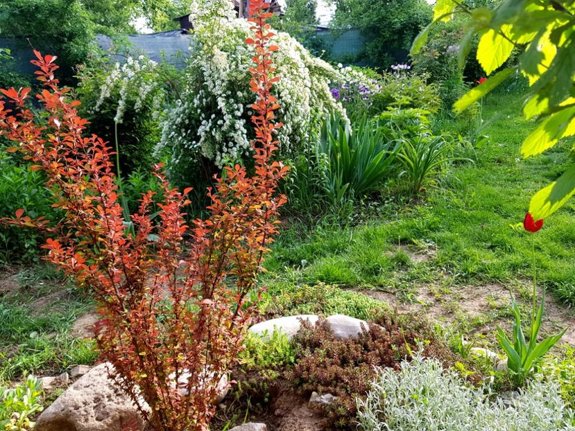  - 2019 Idilic garden