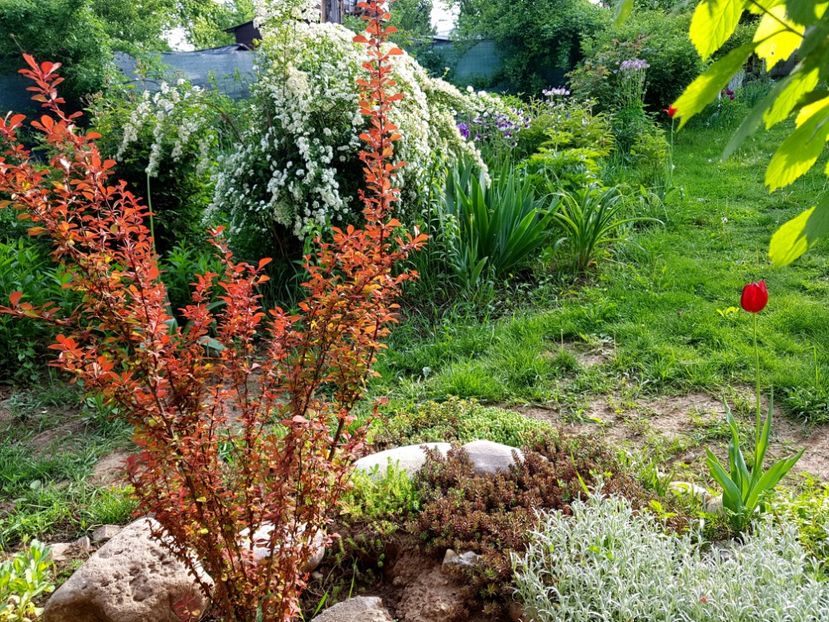  - 2019 Idilic garden