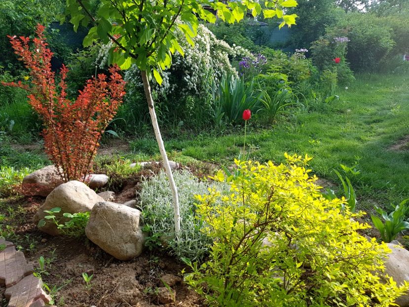  - 2019 Idilic garden