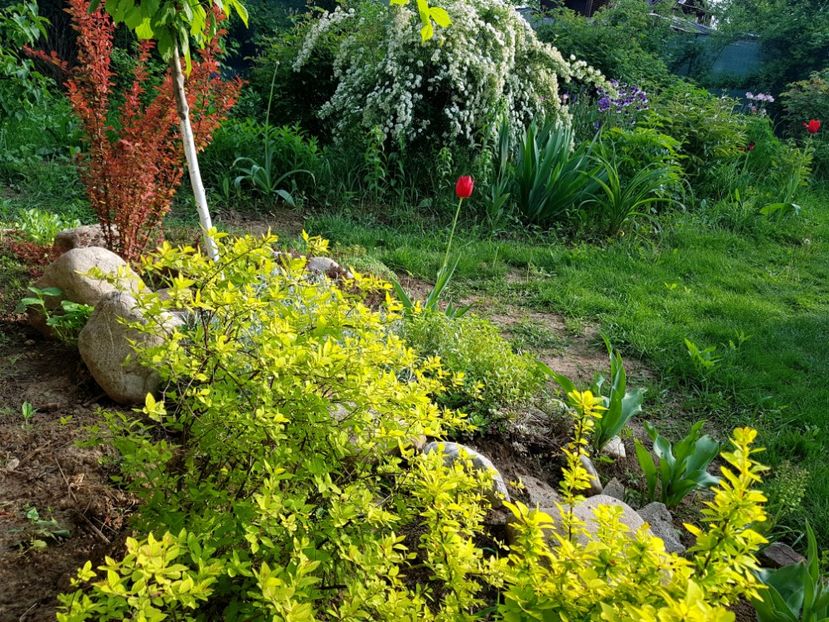  - 2019 Idilic garden