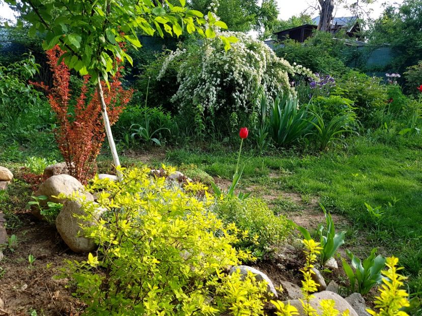  - 2019 Idilic garden