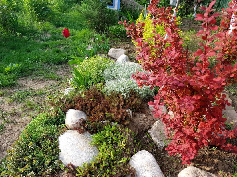  - 2019 Idilic garden