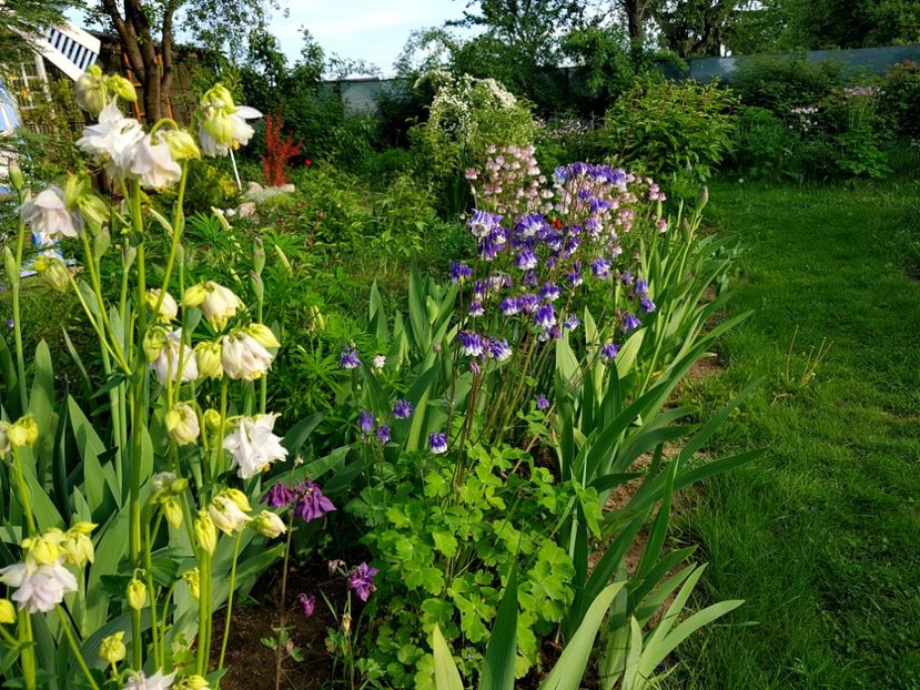  - 2019 Idilic garden