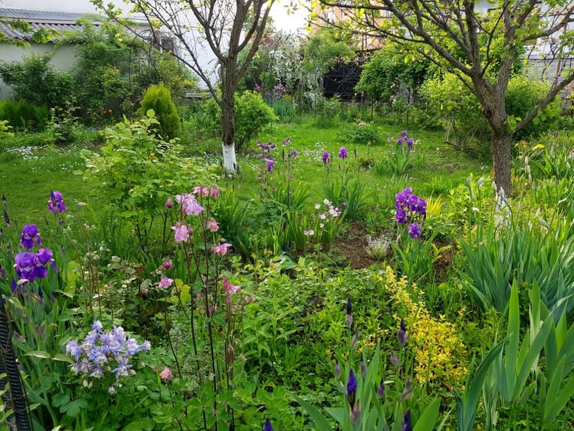  - 2019 Idilic garden