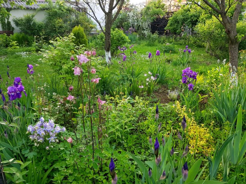  - 2019 Idilic garden