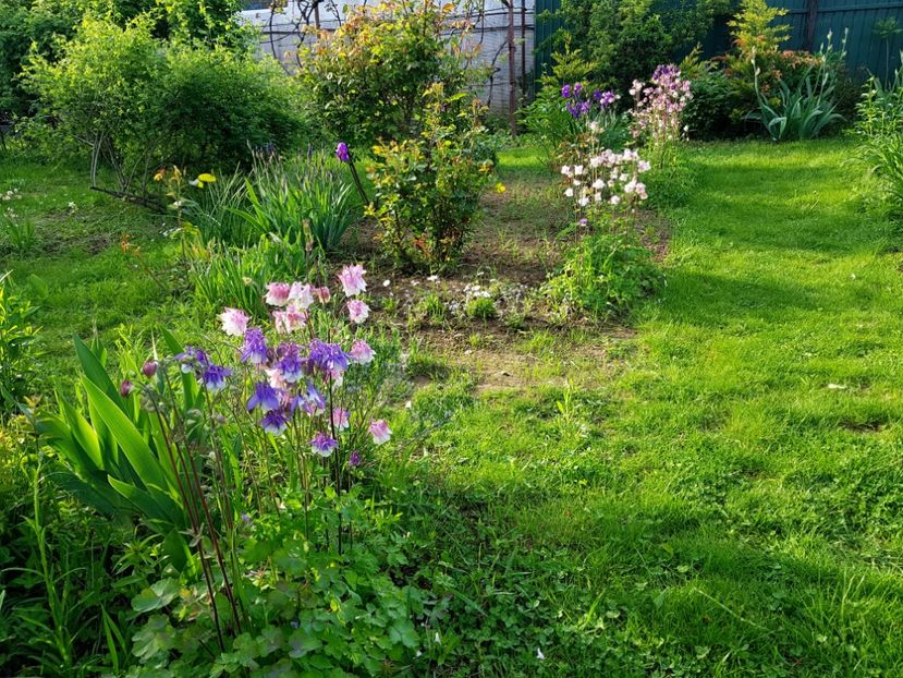  - 2019 Idilic garden