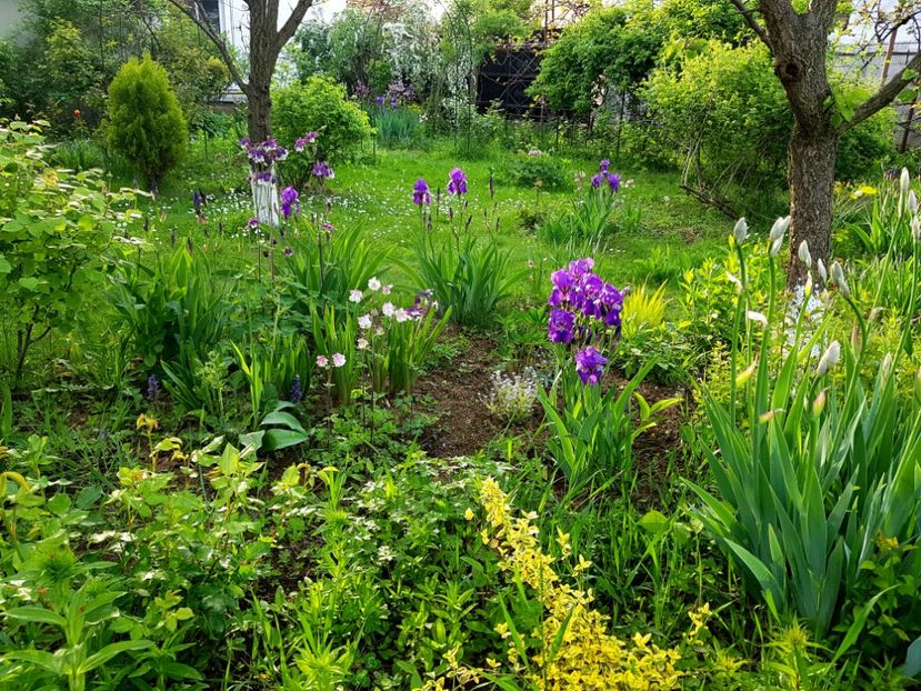  - 2019 Idilic garden