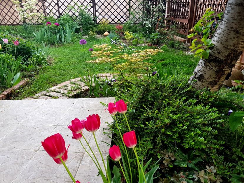  - 2019 Gradina Pridvor