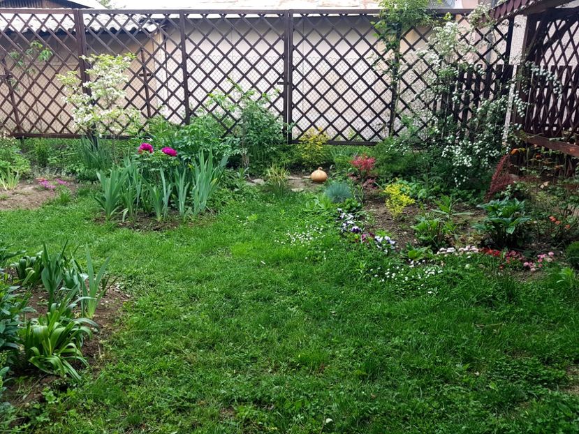  - 2019 Gradina Pridvor