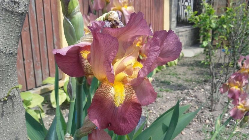 D4ECBAC6-FC48-46CF-91F1-4D4BE57C41FE - 2019