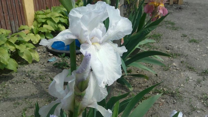 30961C04-B2A1-47EC-AF71-5EE76B149AAA - 2019