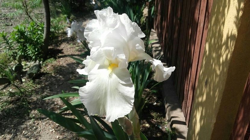 64DF8A36-E079-4070-8666-950D89FA1A02 - 2019