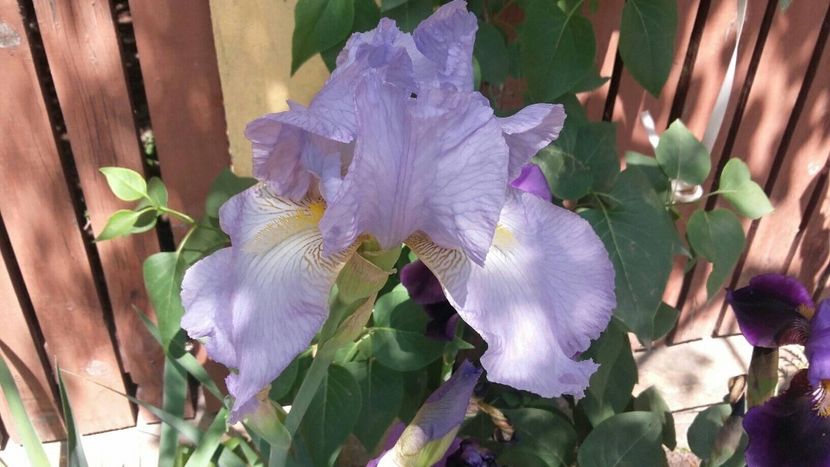 3B1381D5-F494-442D-A3F2-709702DDB452 - 2019