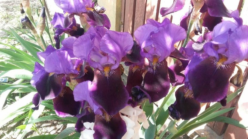 A33796E4-D75F-44C4-9394-C6D1288BB08F - 2019