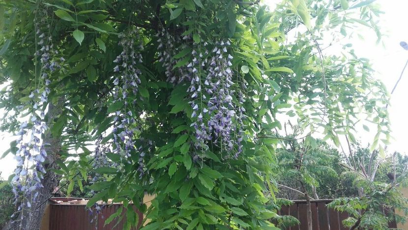 BB687FE0-F28C-4B2D-91C3-A686CE103EE1 - 2019