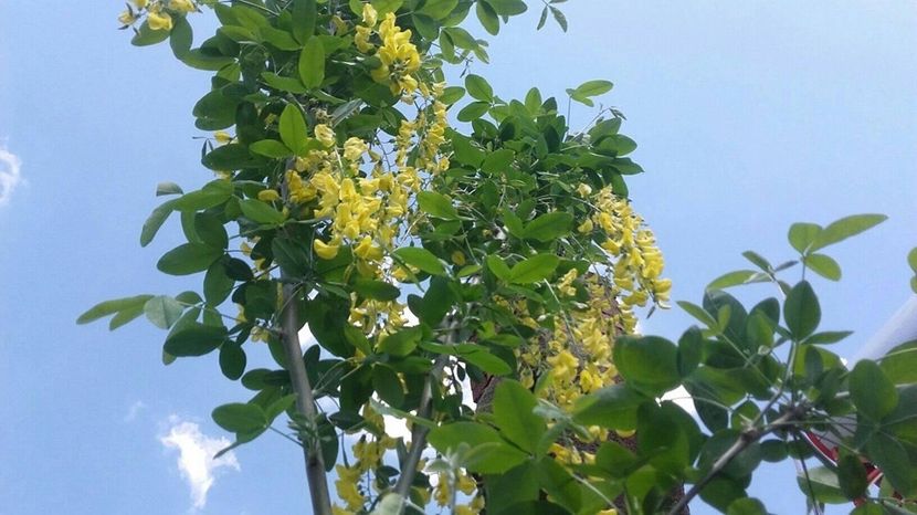 10A145C1-AC41-48CB-AE44-A4BD9720614C - 2019