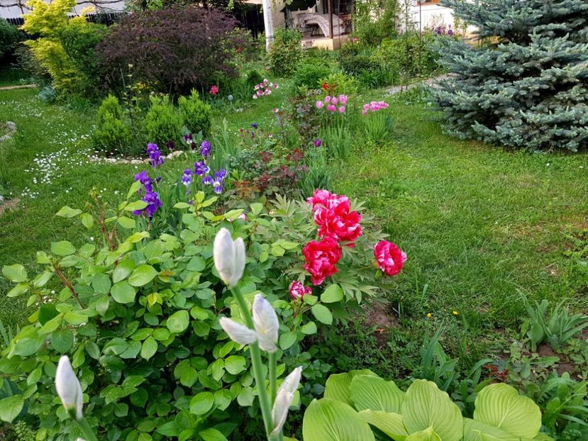  - 2019 Gradina