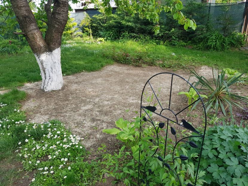 Am presarat nisip pe deasu0ra - 2019 Poiana Ciresului