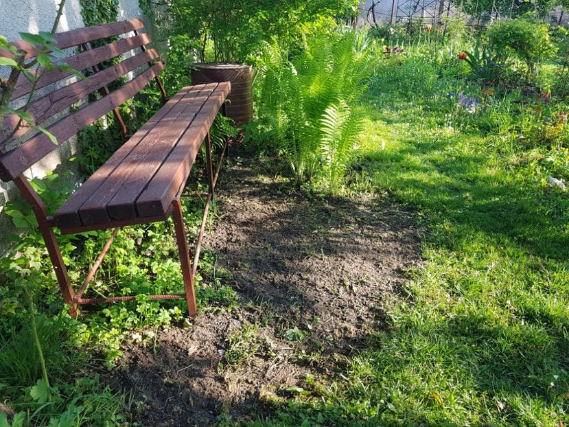 Am insemantat gazon si aici...inainte erau trandafiri - 2019 Poiana Ciresului