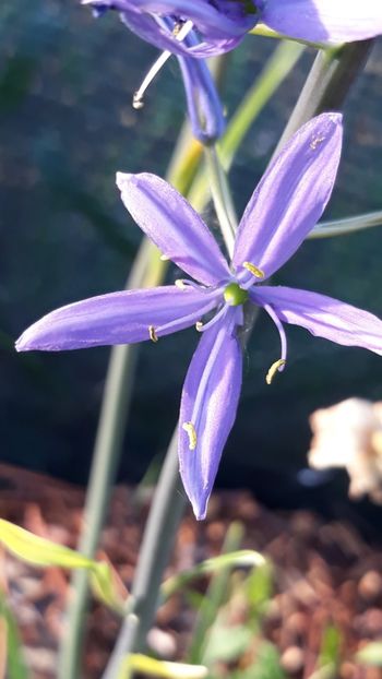  - Primavara 2019-2022