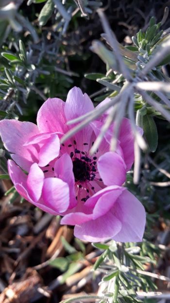  - Primavara 2019-2022