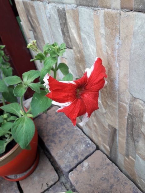  - MAi 2019