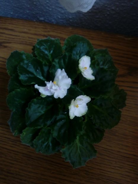 4 mai 2019 - ZZZ____My sensation