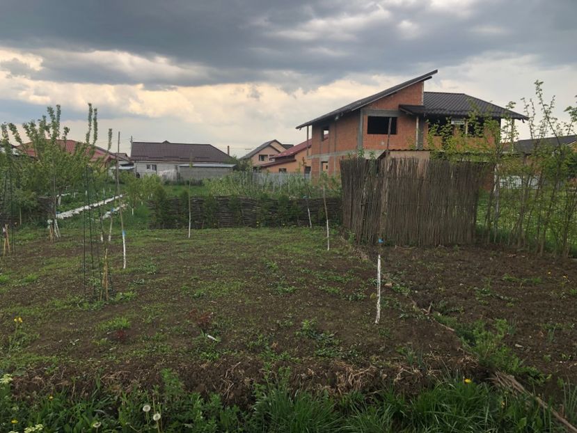  - 01 Gradina de la Cordun