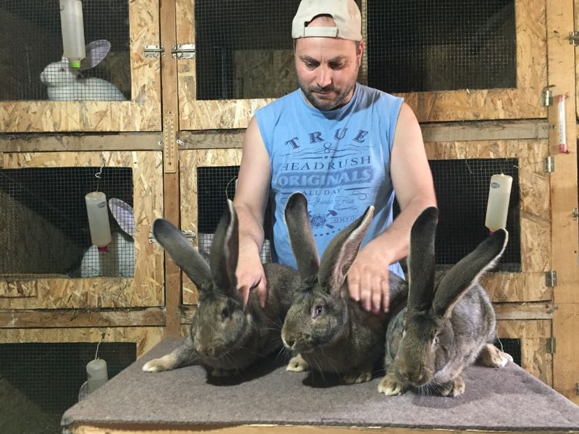 Din 2 Decembrie 2018 - Trei surori la 5 luni