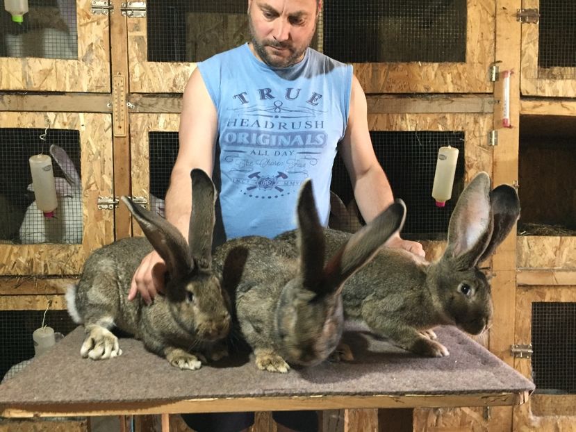 5 Luni - Trei surori la 5 luni