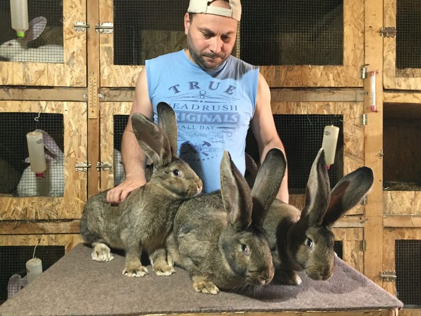 Între 5,3 și 5,8 Kg - Trei surori la 5 luni