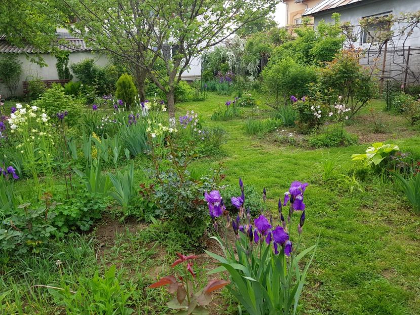  - 2019 Idilic garden