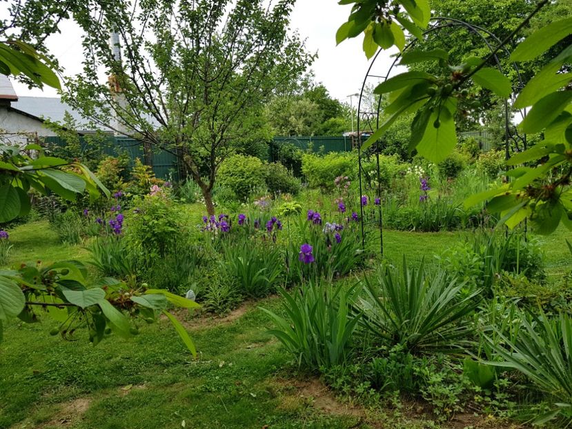  - 2019 Idilic garden