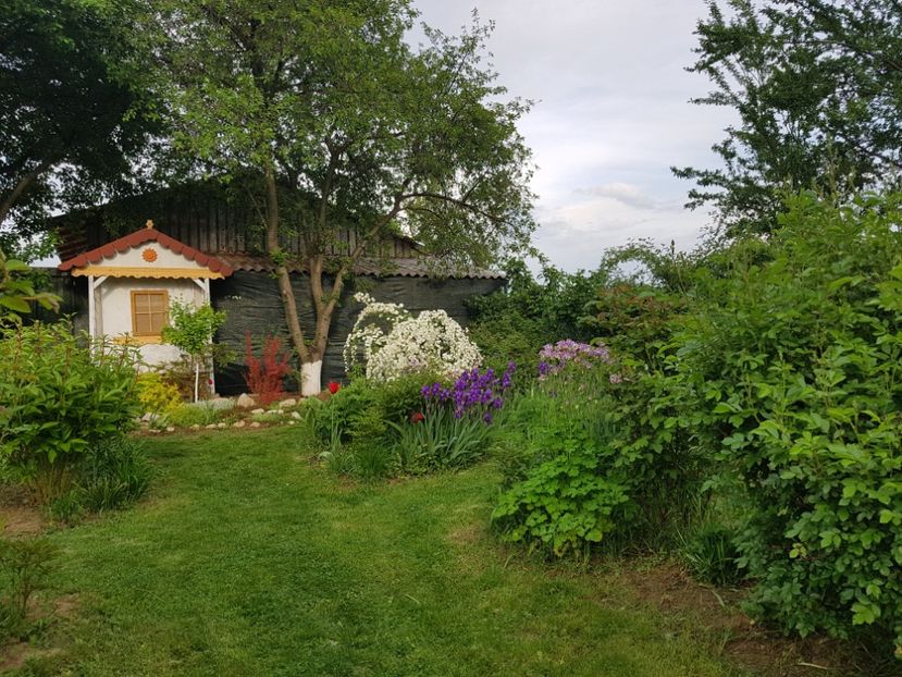 Inca nu am finalizat pavilionul - 2019 Idilic garden
