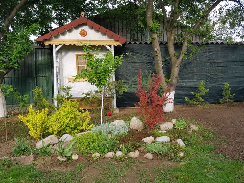 Am o fereastra cu oglinda care asteapta s-o montez ! - 2019 Idilic garden