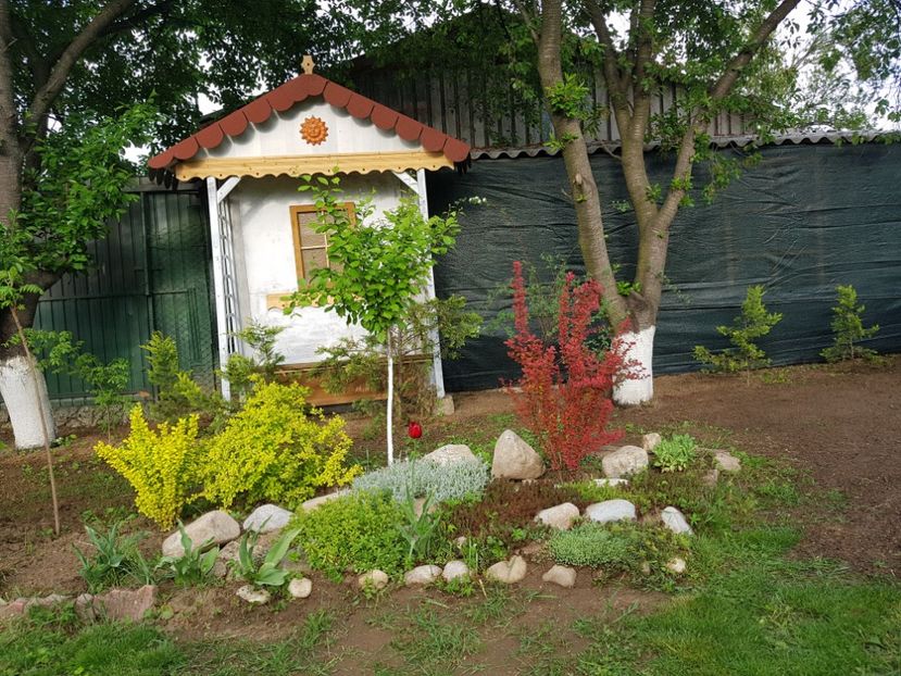 Am pus plasa si pare mult mai uniform fundalul - 2019 Idilic garden