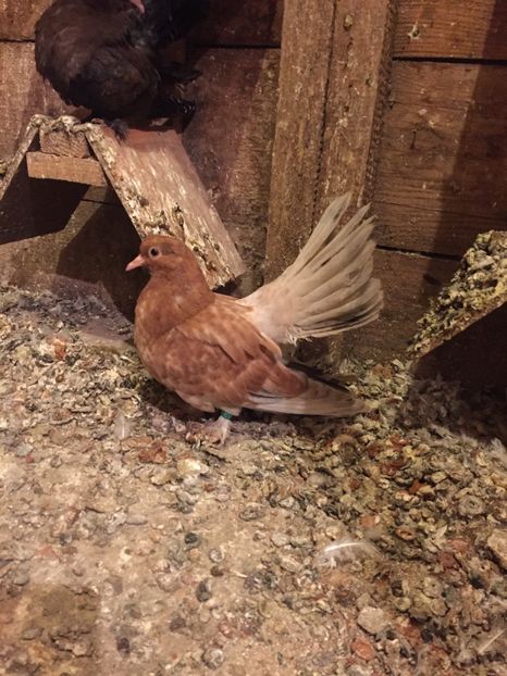 5FCA47AC-9ABC-4D3D-86FD-EB23C76A66F7 - Contact