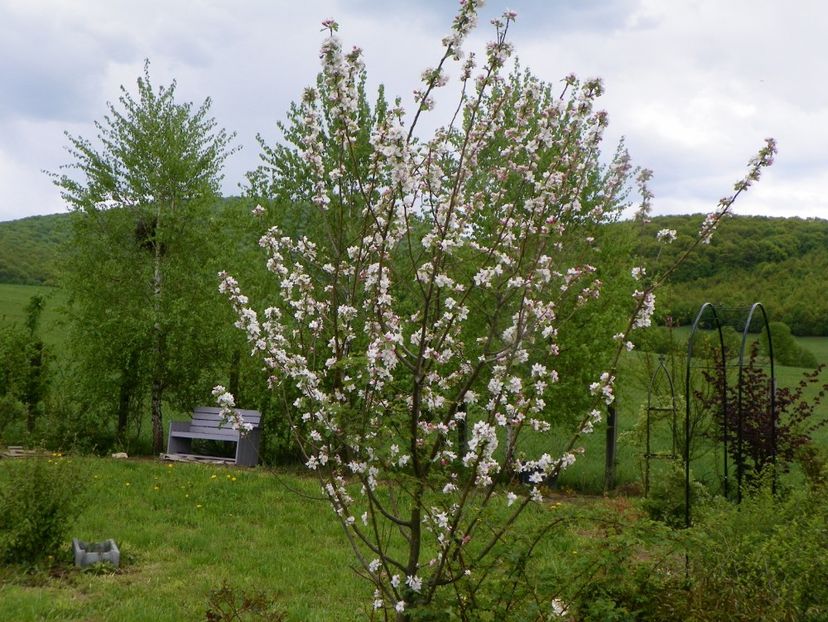 mar Florina - z-Dobarland 2019