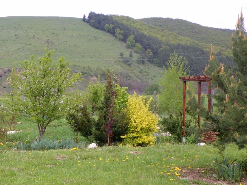 4 mai (73) - z-Dobarland 2019