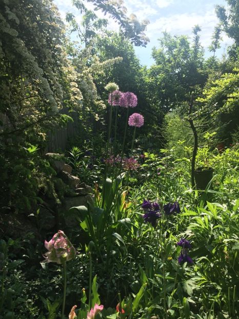 3A8E25F2-D3B2-4316-9D61-F148FC5F1330 - Mai 2019