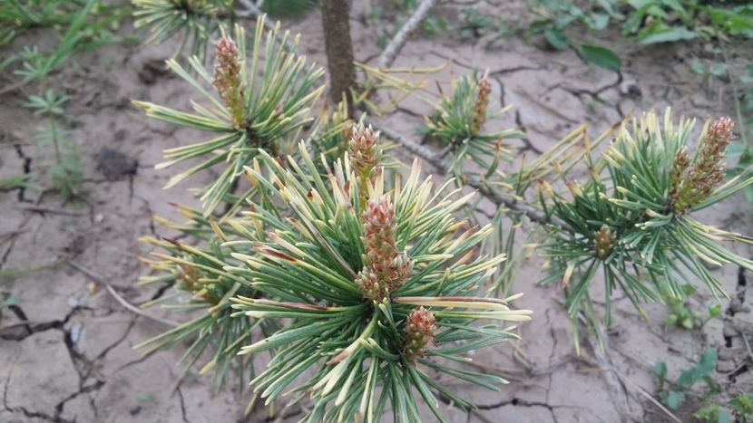  - curtea cu toate cele 2019