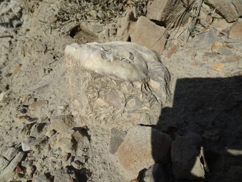  - Vulcanii noroiosi Berca Buzau 2019