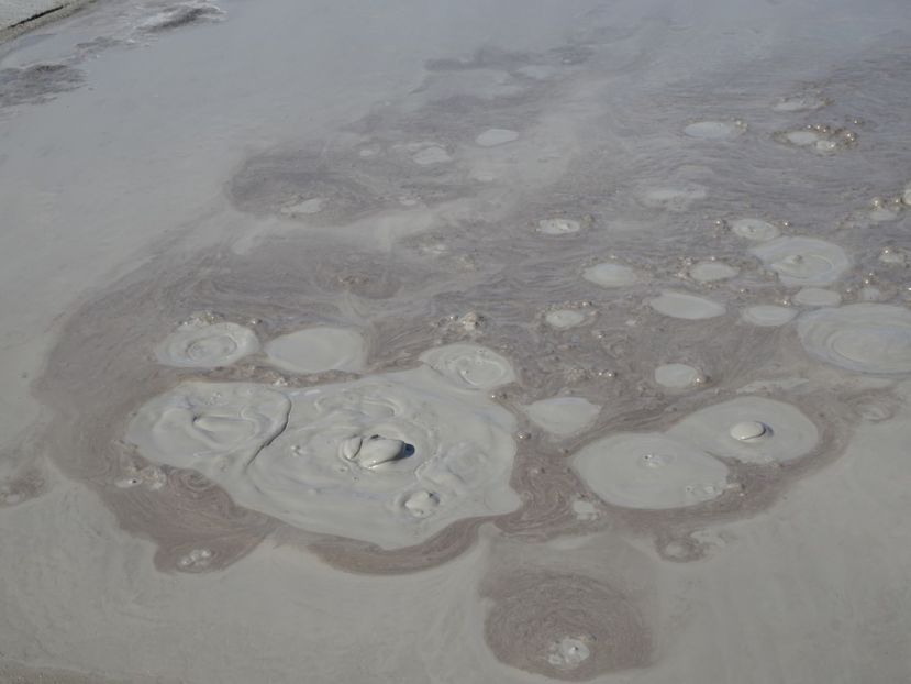  - Vulcanii noroiosi Berca Buzau 2019