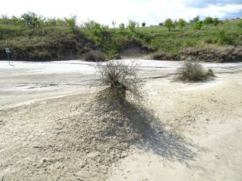  - Vulcanii noroiosi Berca Buzau 2019