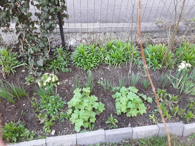 20190328_101414(0) - 28 martie