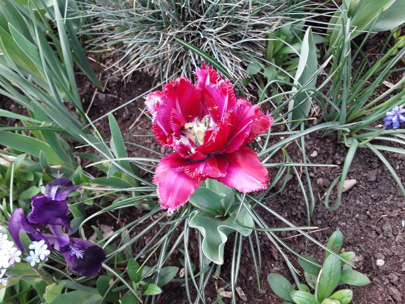 20190419_124419(0) - 15 aprilie