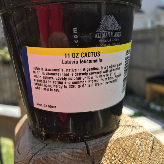  - Jurnalul gradinii 2019