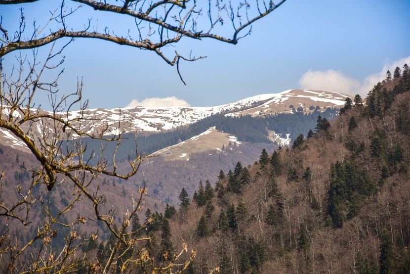  - 08 - Sinaia - Dichiu - Bolboci - Cheile Tătarului - aprilie 2019