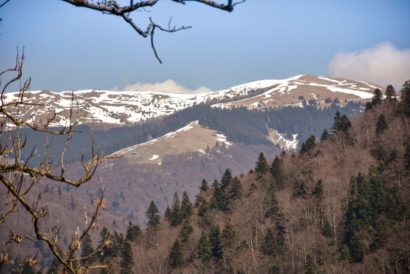  - 08 - Sinaia - Dichiu - Bolboci - Cheile Tătarului - aprilie 2019